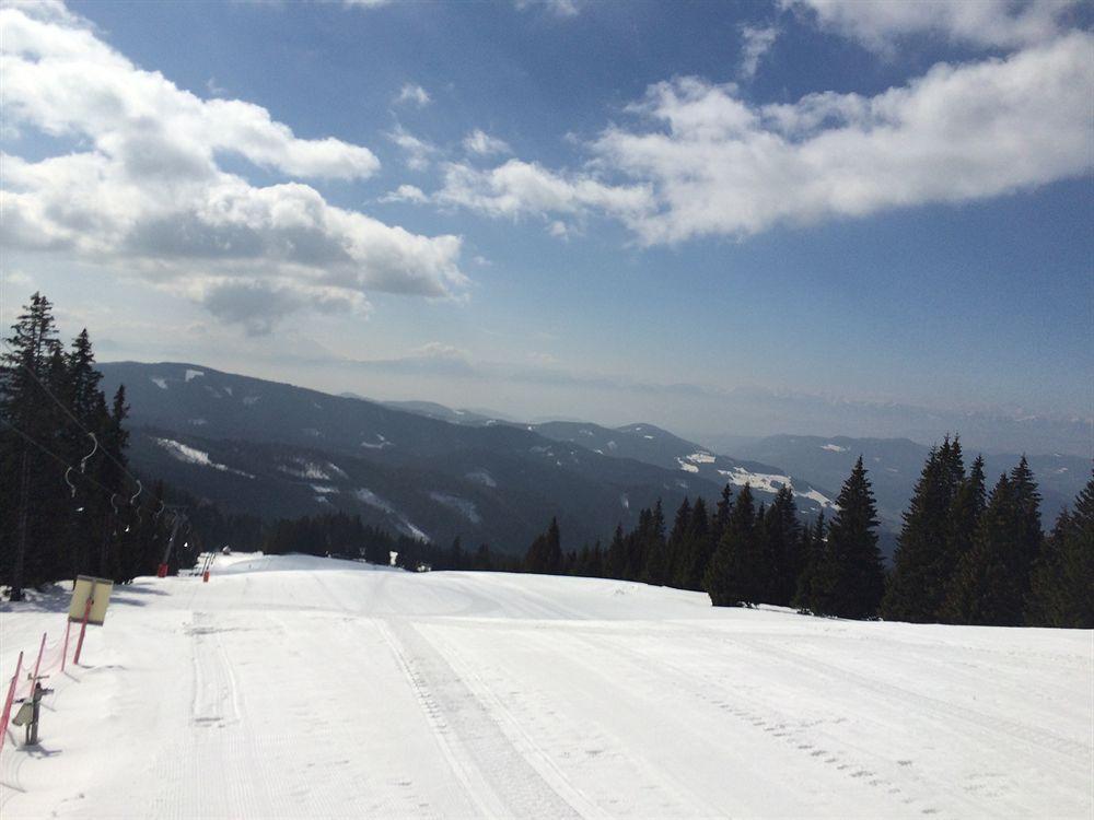 Panoramadorf Saualpe Hotel Eberstein Kültér fotó